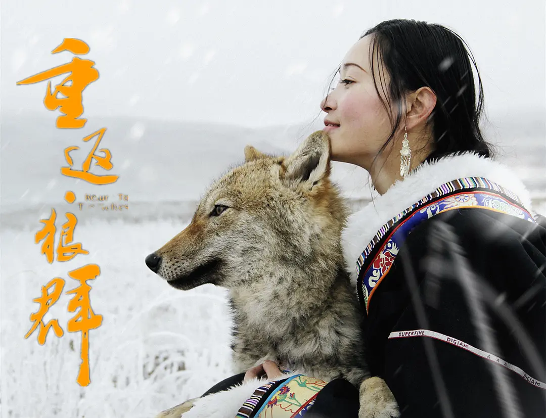 《重返·狼群》（HD1080P/3.8G-MKV）国语版独家资源上线阿里云盘免费/加长版无修版百度网盘夸克