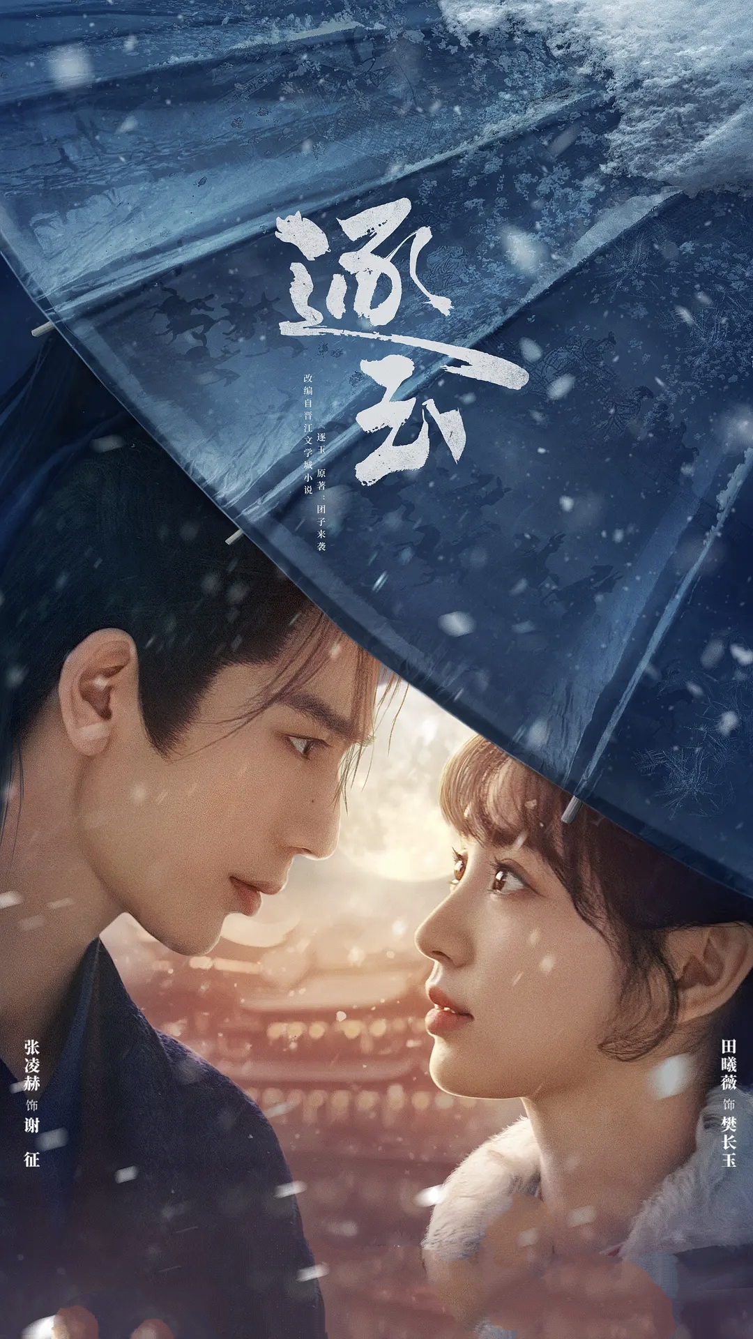 【电视剧】逐玉 (2026) 4K 高码 HDR 60帧率 夸克网盘资源下载