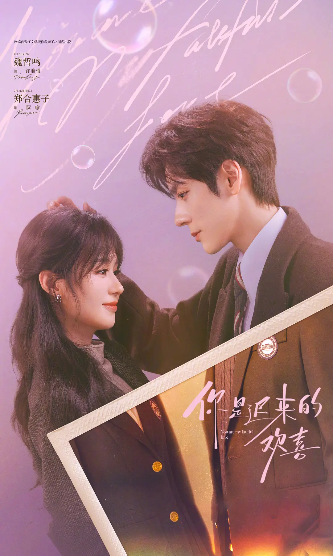 【国产剧】你是迟来的欢喜 (2026) 4K 夸克网盘资源下载