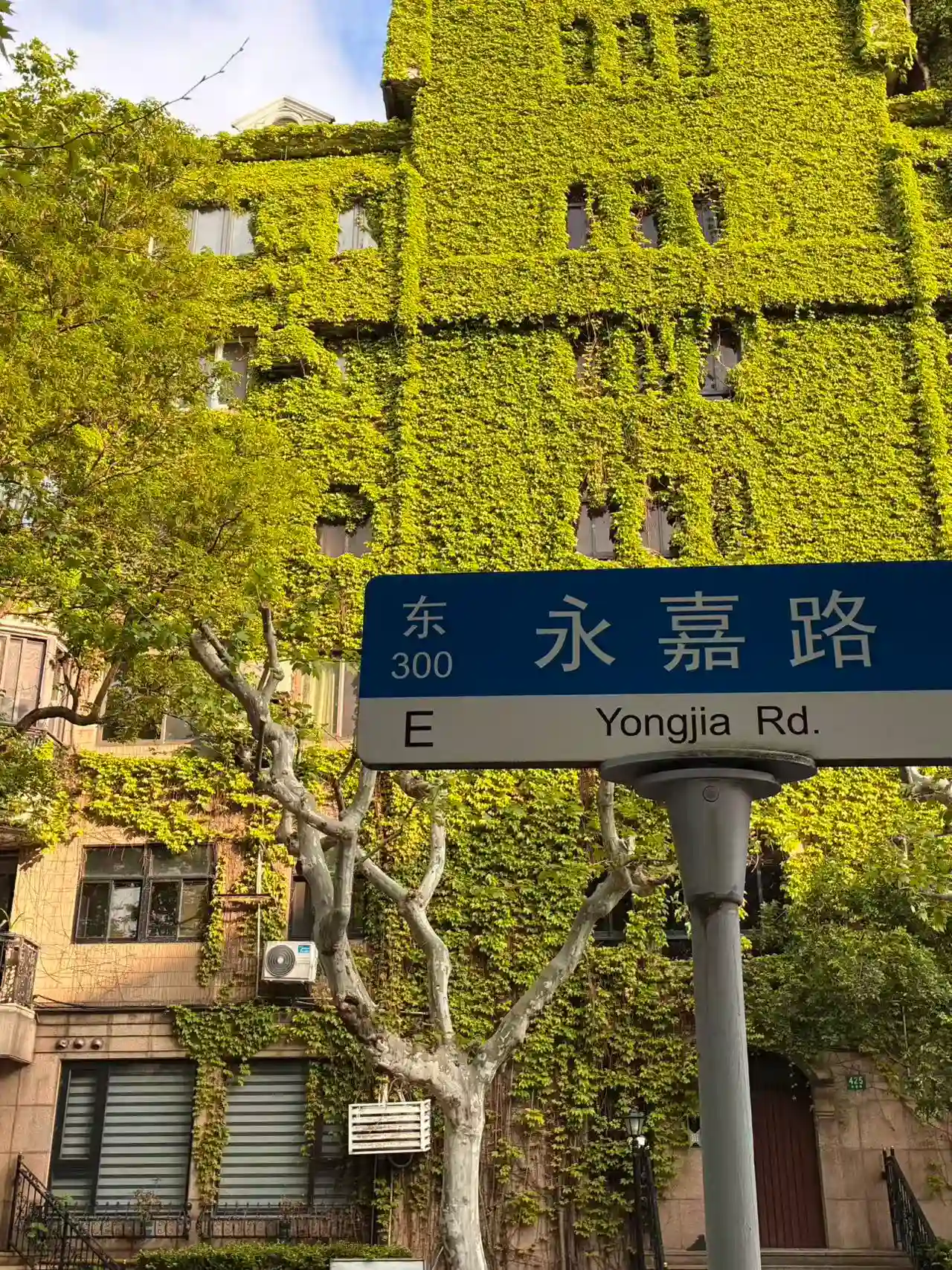 永嘉路 Photowalk | Yongjia Road Photowalk