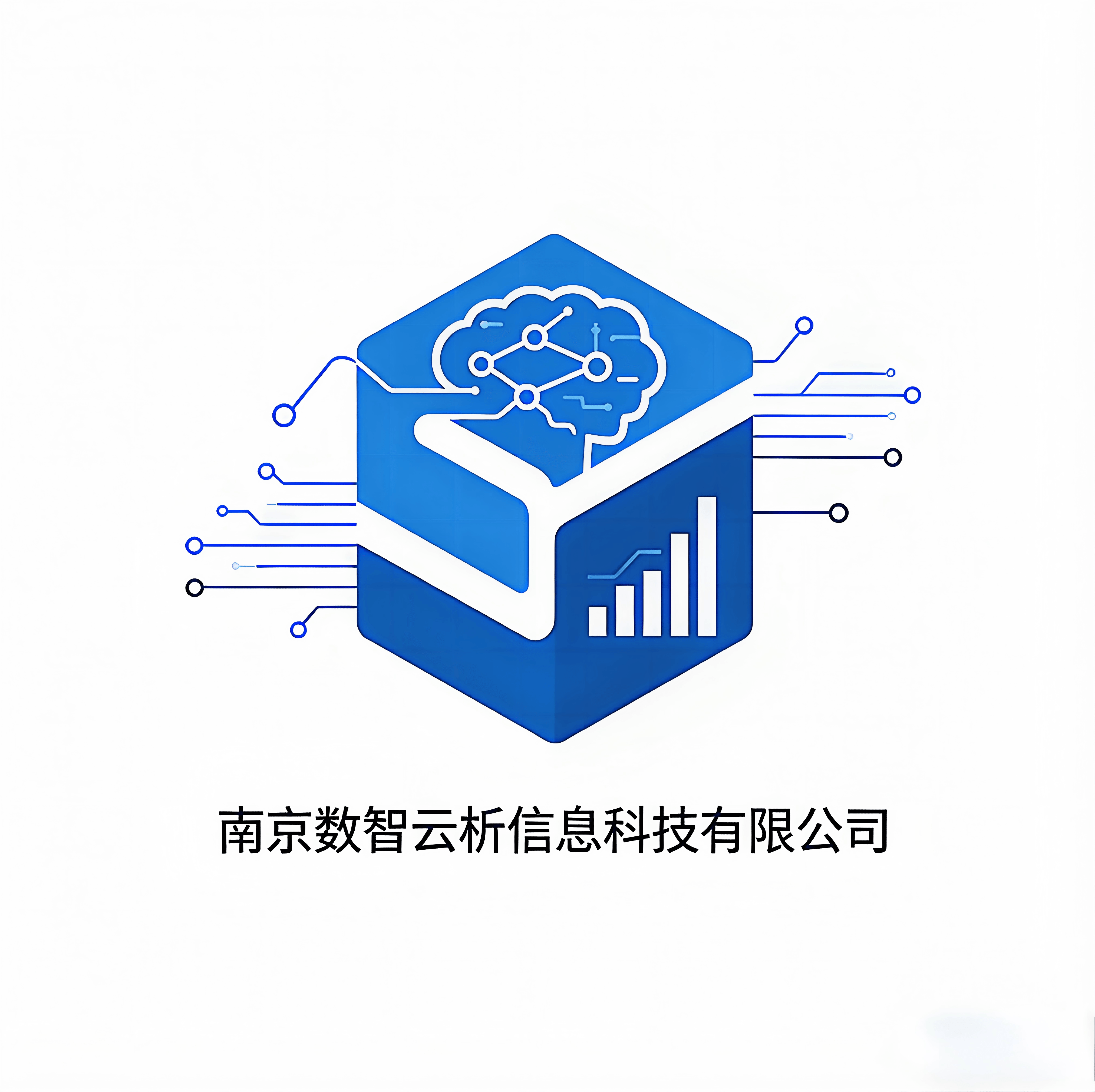 南京数智云析