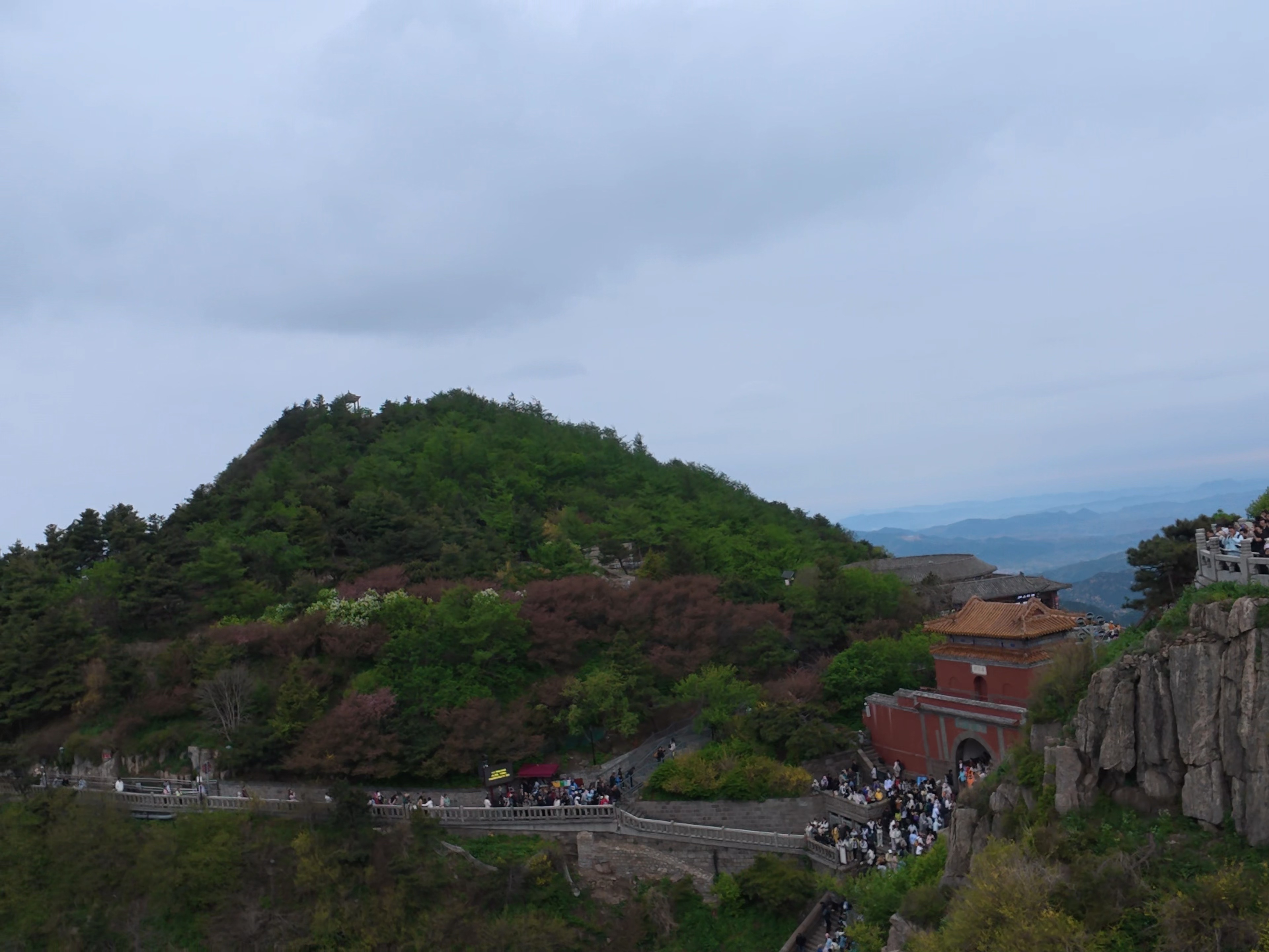 泰山