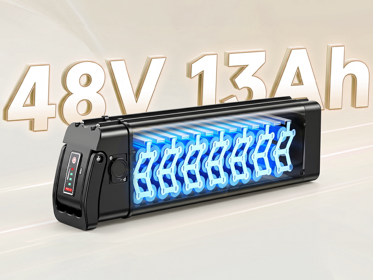 Integrated Removable 48V Battery System