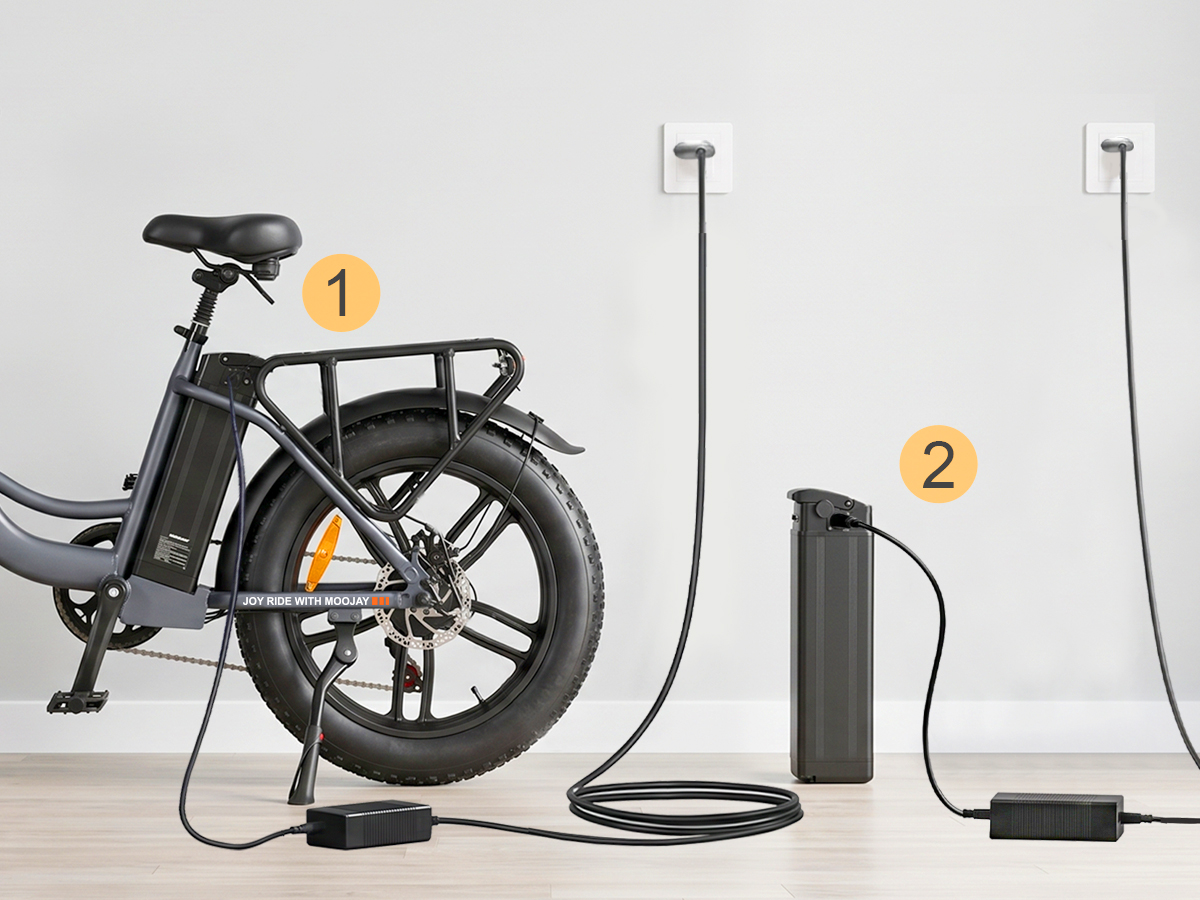 MOOJAY EB51 included battery charger