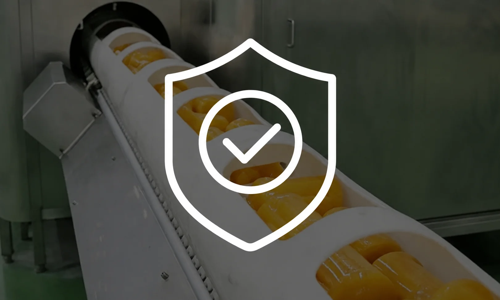 Safety and Compliance