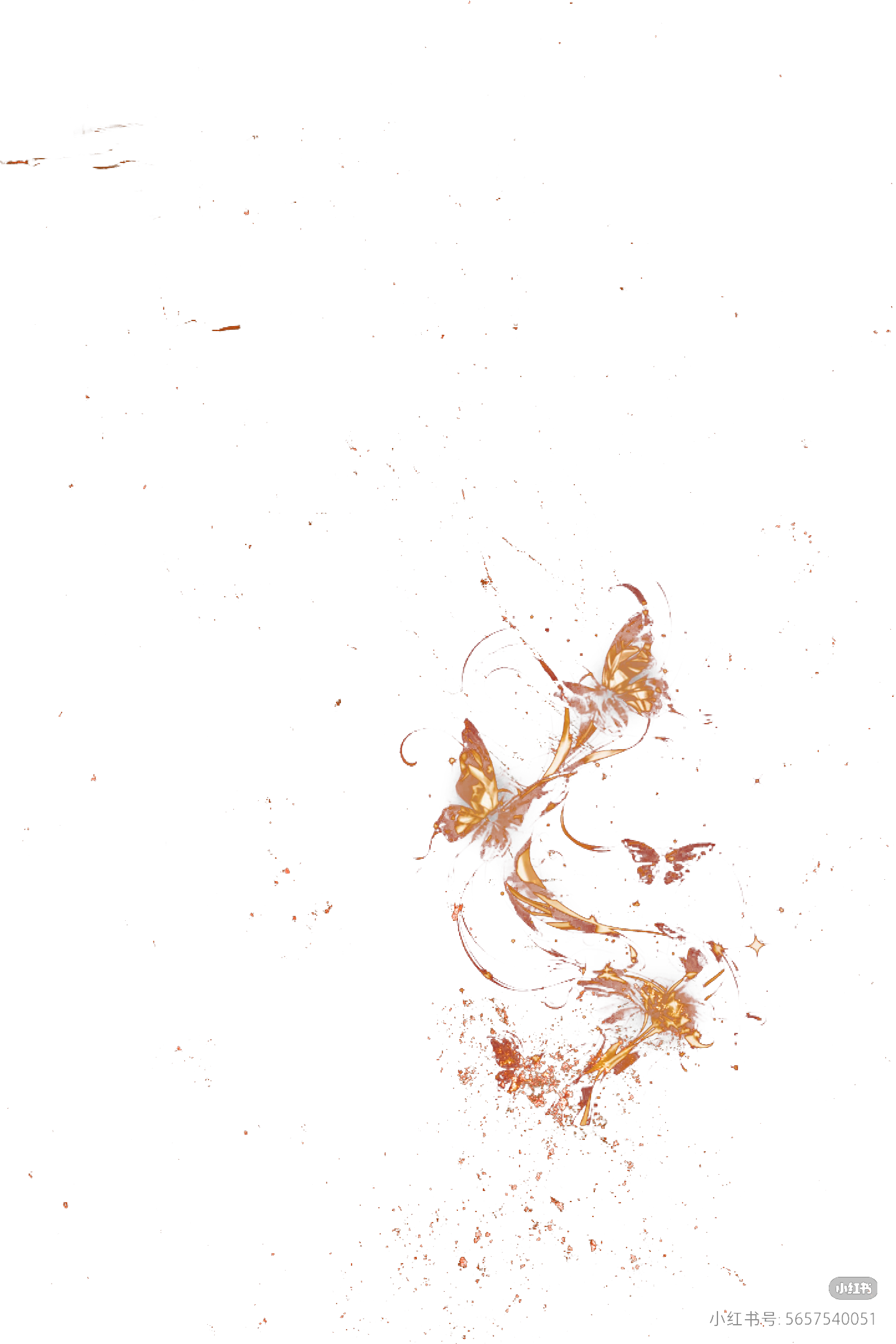 微信图片_20260727190847_8_54.png