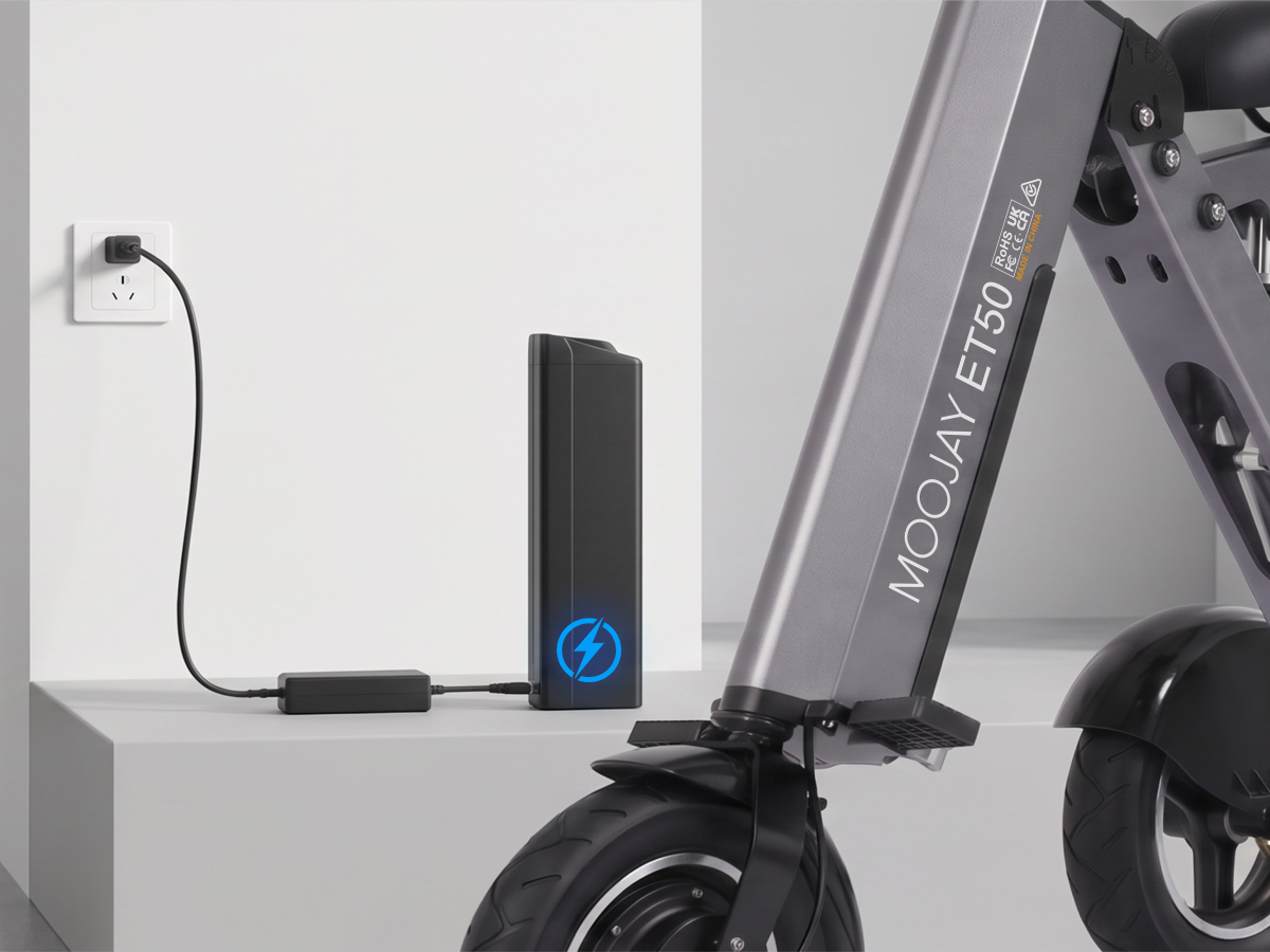 Removable Battery with Key Lock