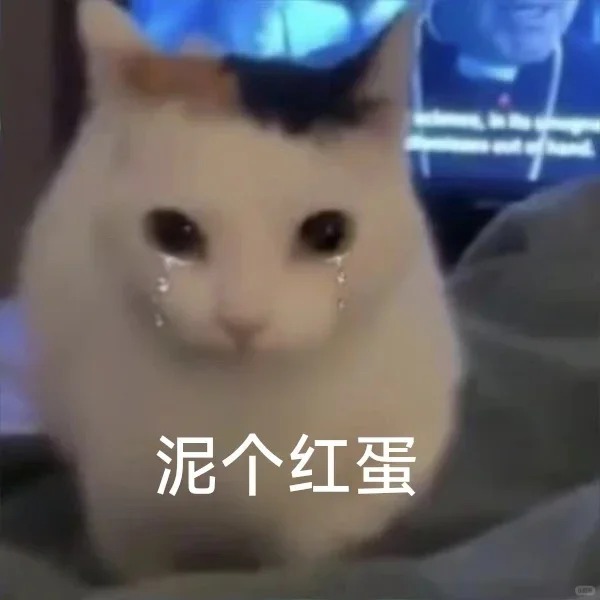 可爱小猫猫_1_好好睡觉_来自小红书网页版.jpg