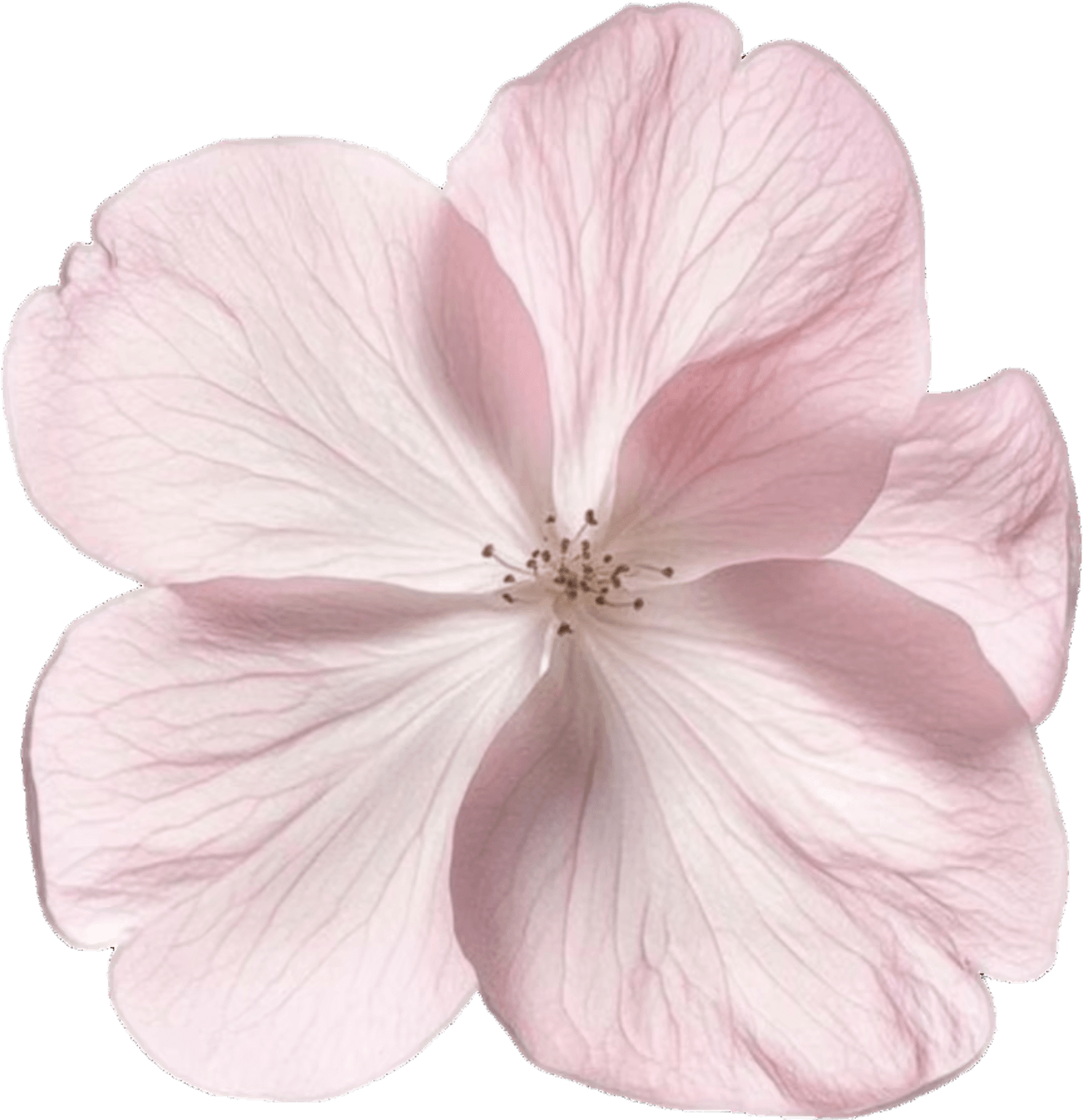 retouch_2026072813243004.png