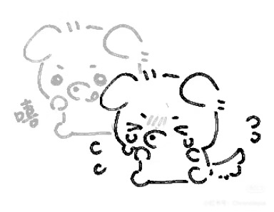 IMG_6888.jpeg