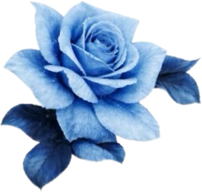 IMG_1914.png