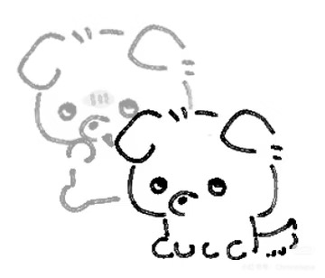 IMG_6887.jpeg