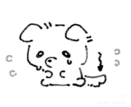 IMG_6831.jpeg