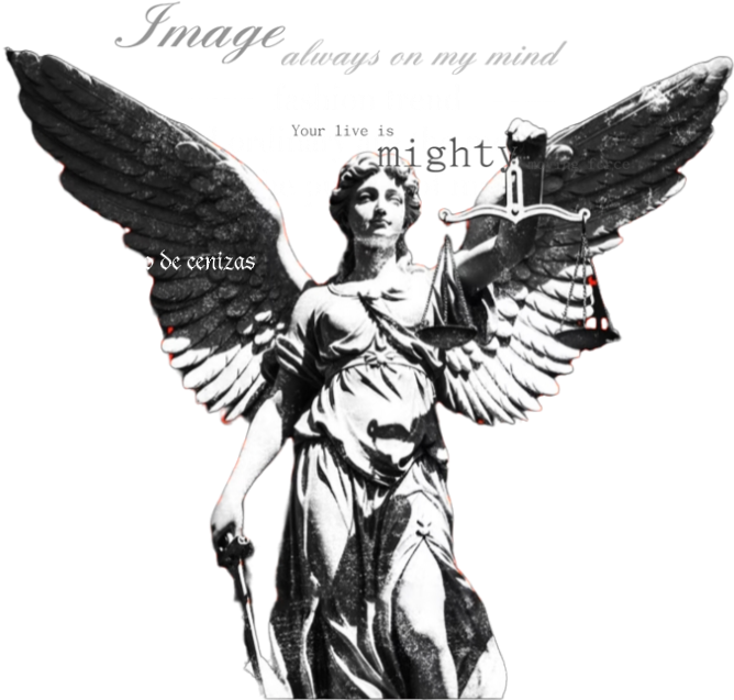 1000028254.png