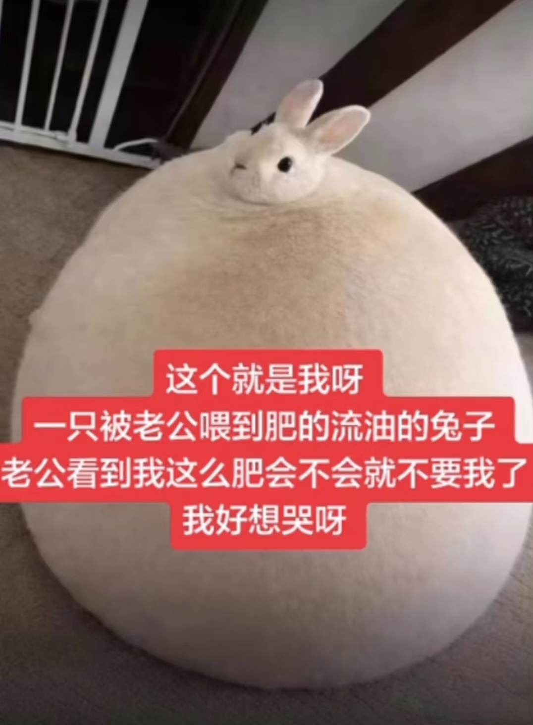 1785282110696.png