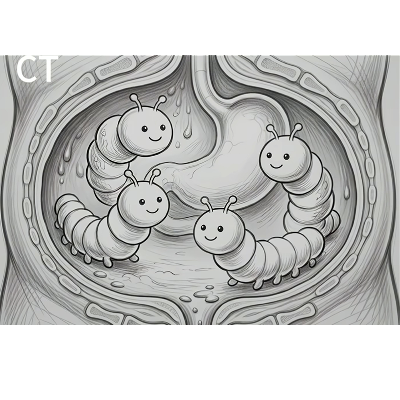 肚子有虫子.png