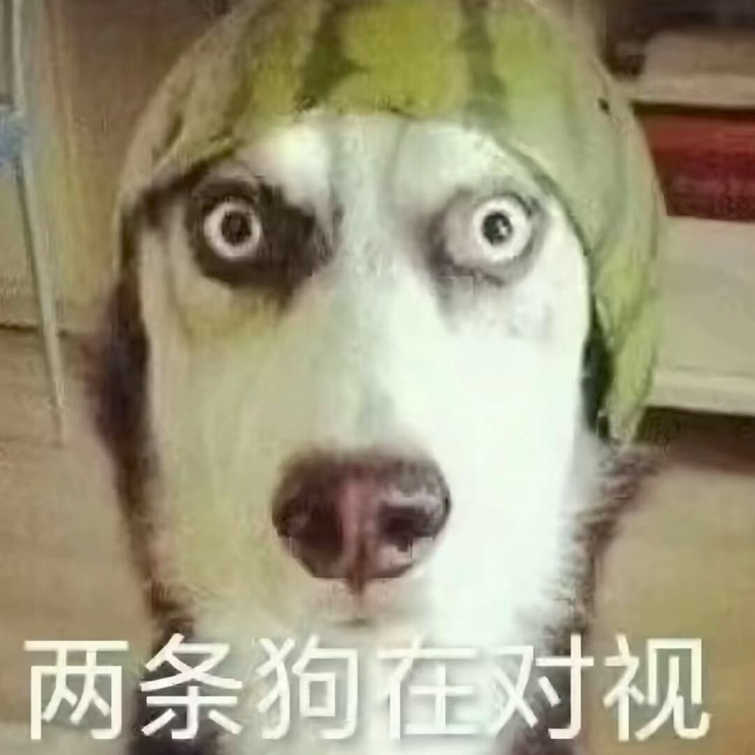 1000102217.jpg