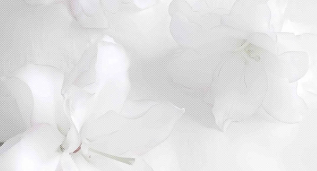 retouch_2026072910093679.jpg
