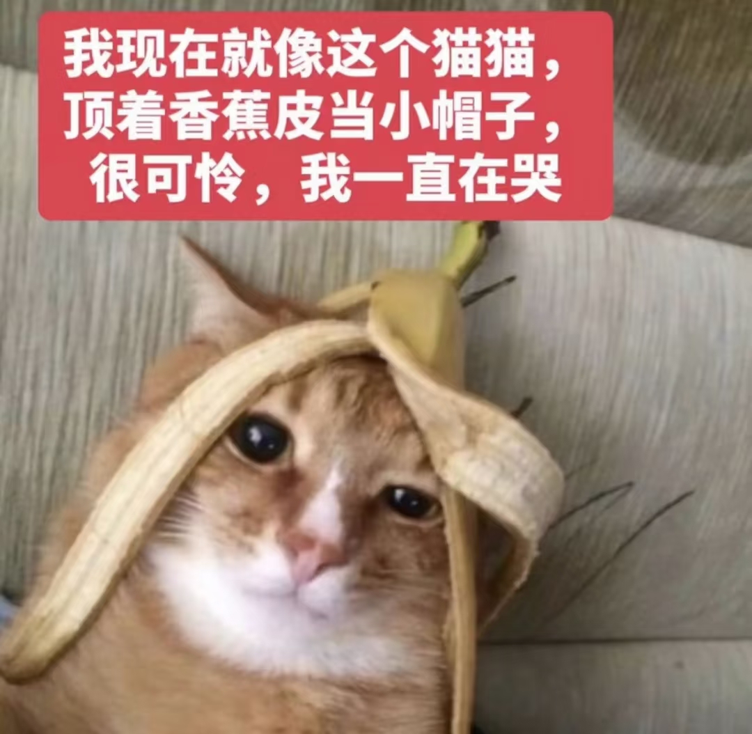 1785282121594.png