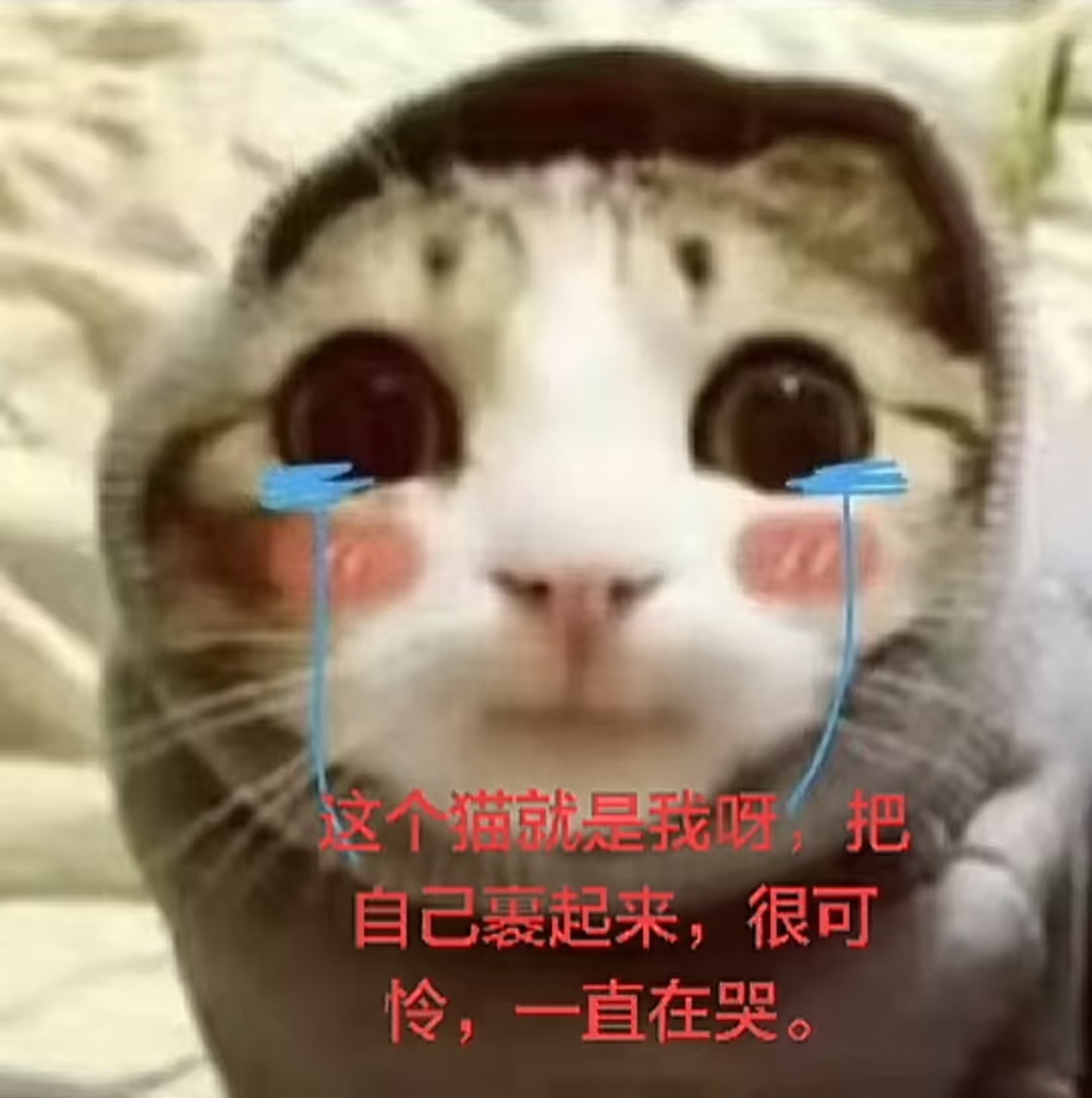 1785282131111.png