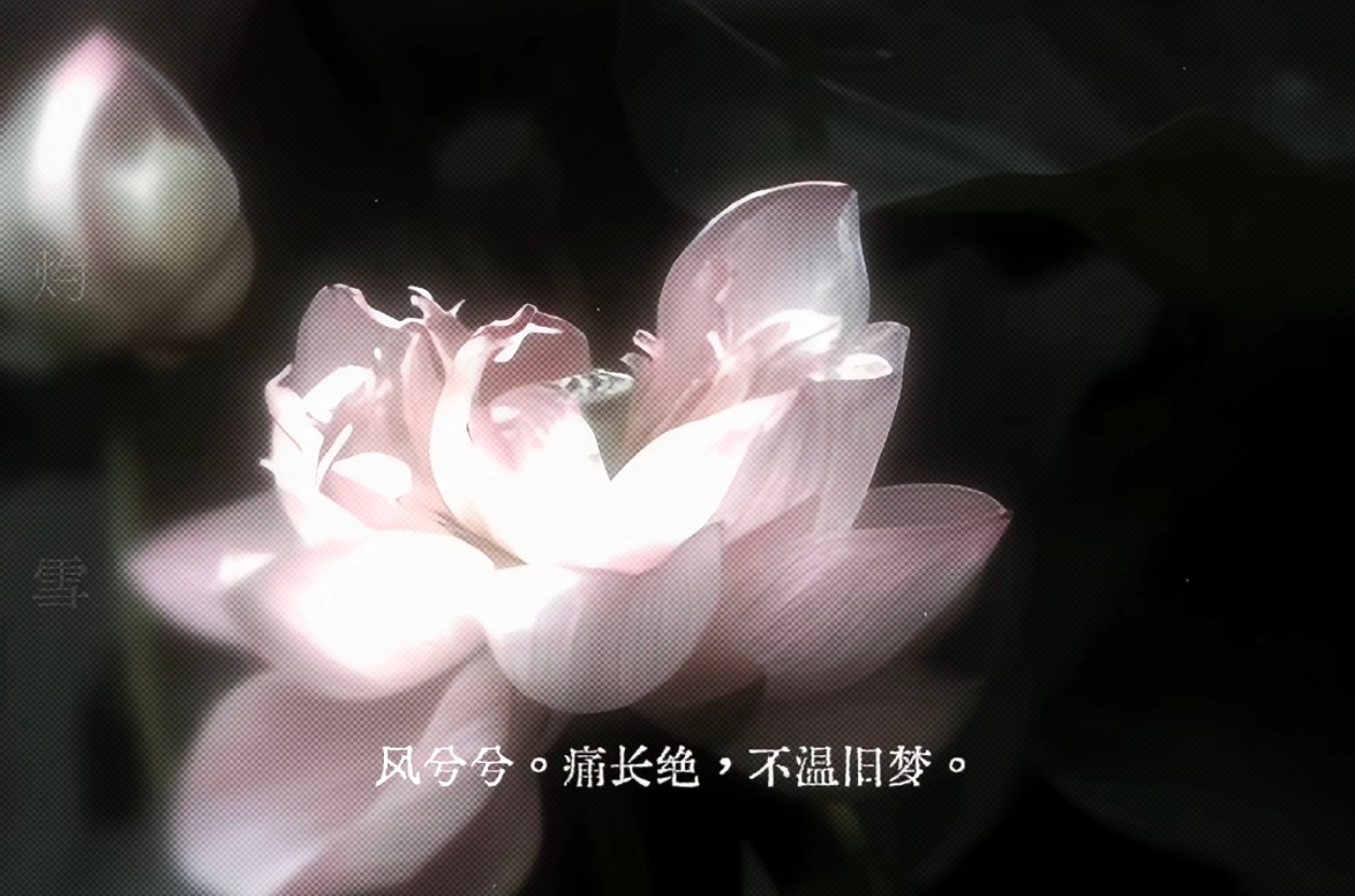 retouch_2026072910113627.jpg