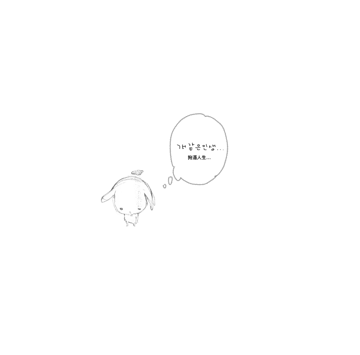 IMG_5525.jpeg