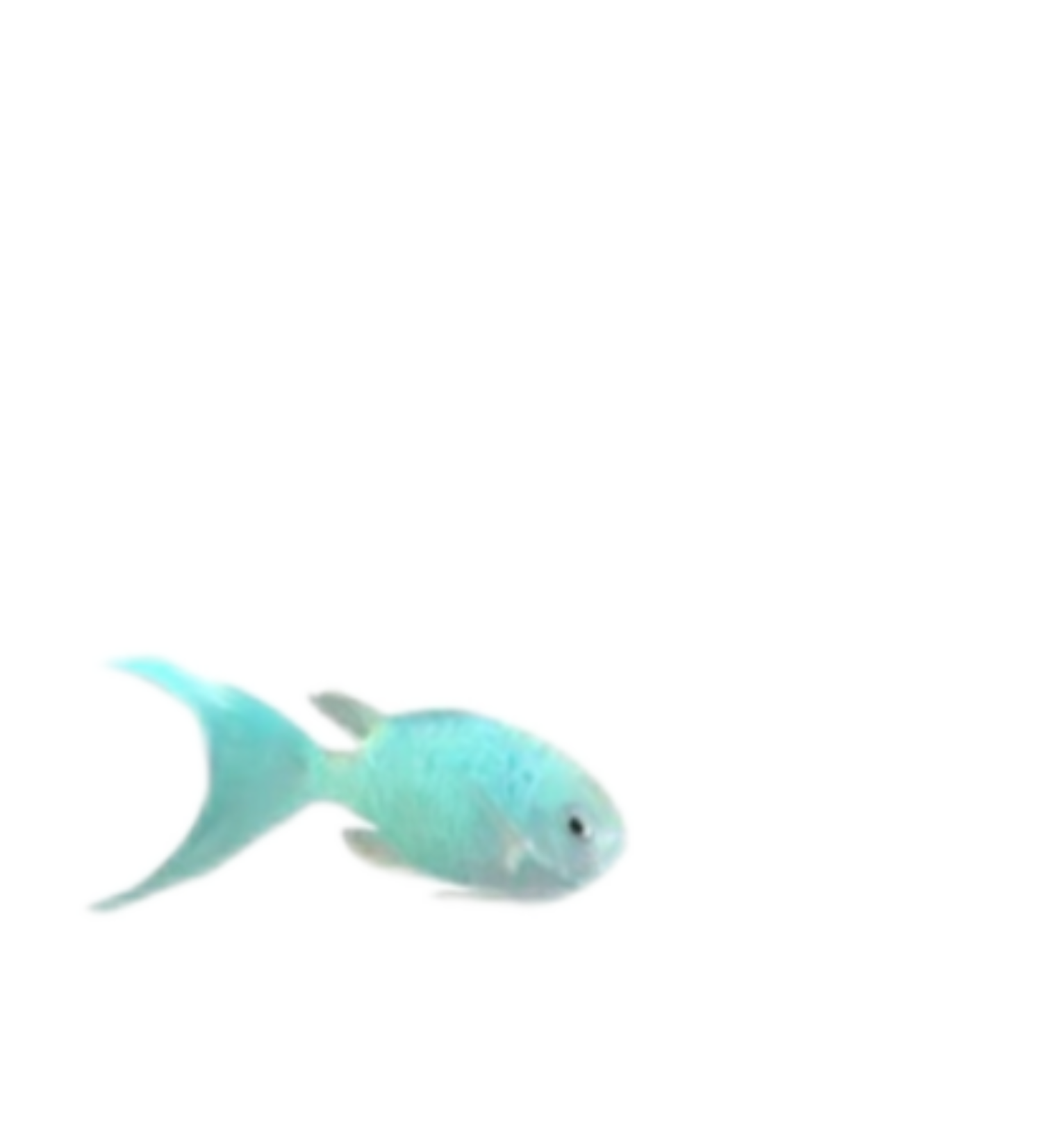 无标题46_20260730215647.png