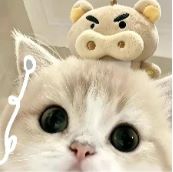 QQ20260730-034448.jpg