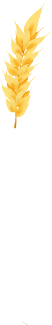 retouch_2026073020444802.png