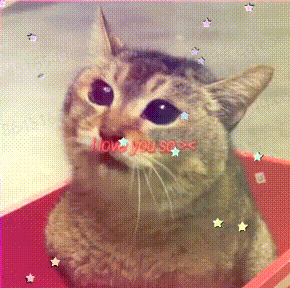 20260730-100338.gif