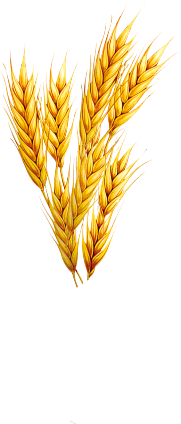 retouch_2026073020543749.png