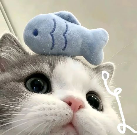 請·多·多·見·面☆ ~!ʢ˶ᵒ ᵕ ˂˶ʡ_1_小玫哪里跑_来自小红书网页版.jpg