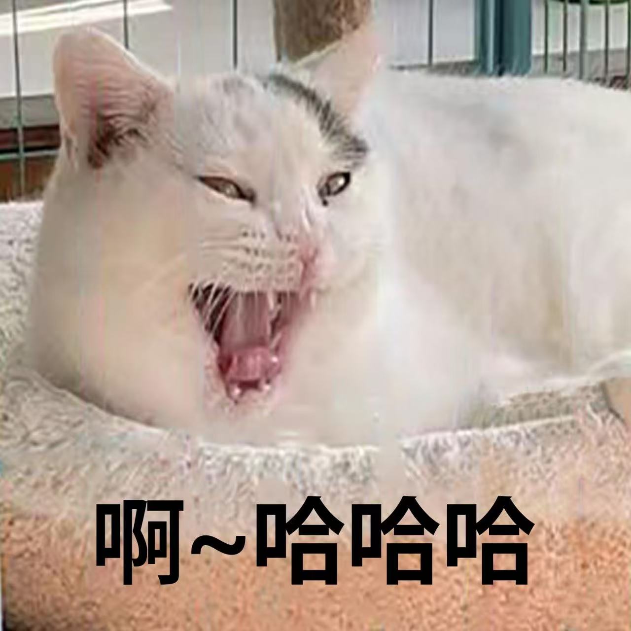001.jpg