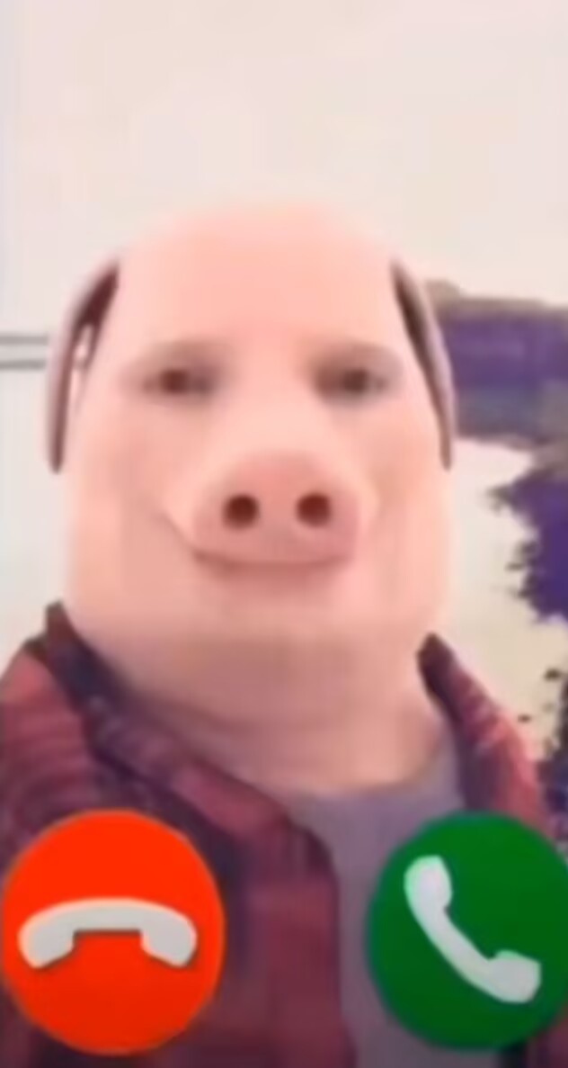 35CC6357742B7DCA03F0D618F81766E2.jpg