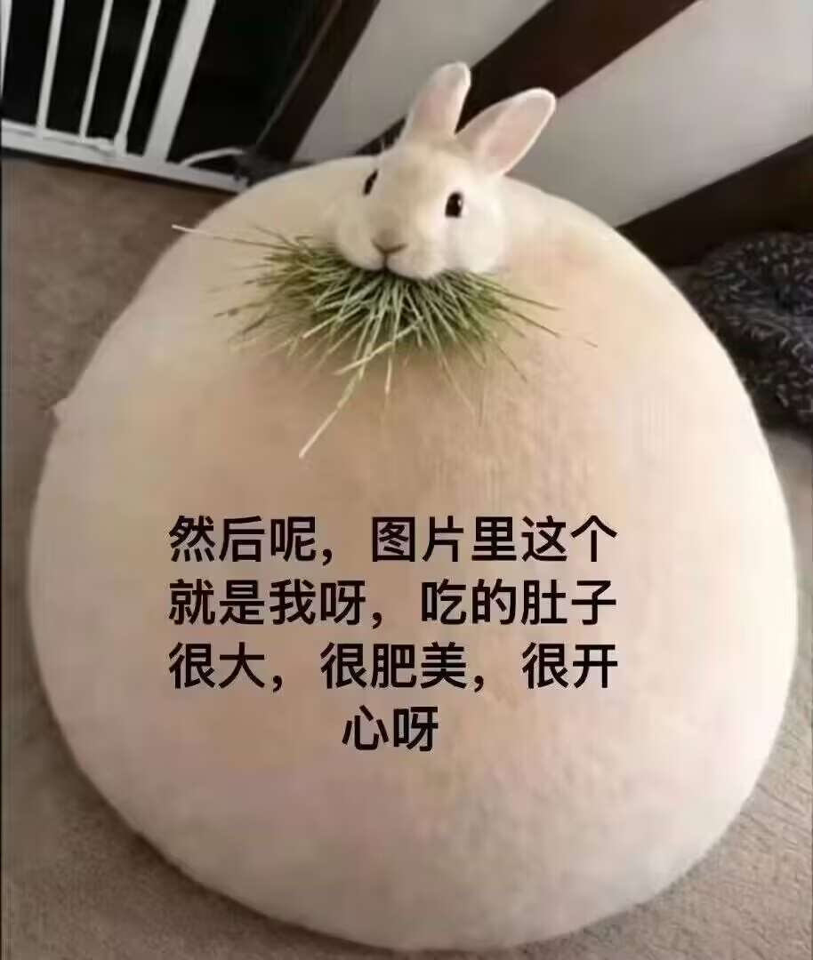 597e74a5931dccc66ba4ab07b9ce8927.jpeg