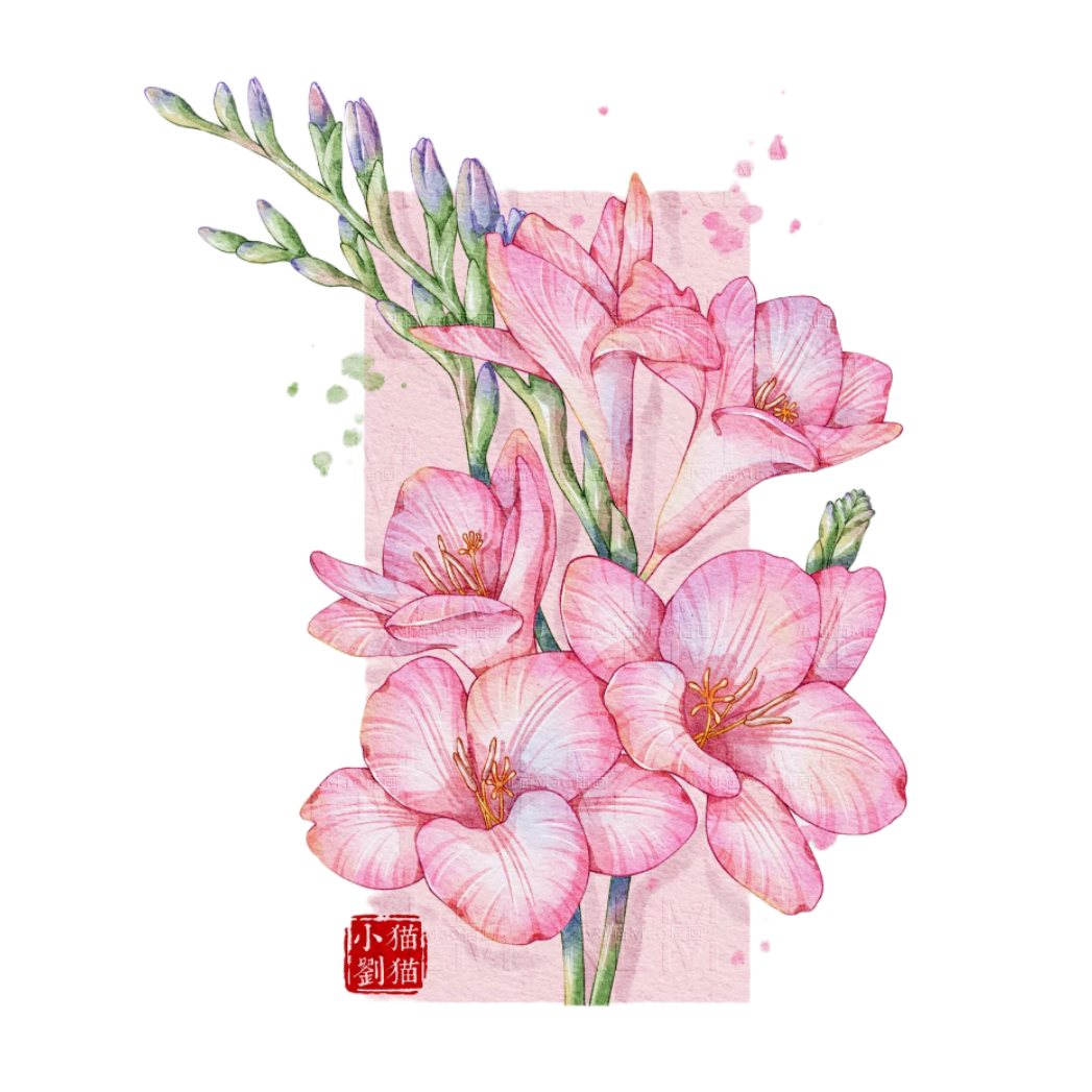 1DD124FB-AE60-4236-837D-180E7A05B8BA.png