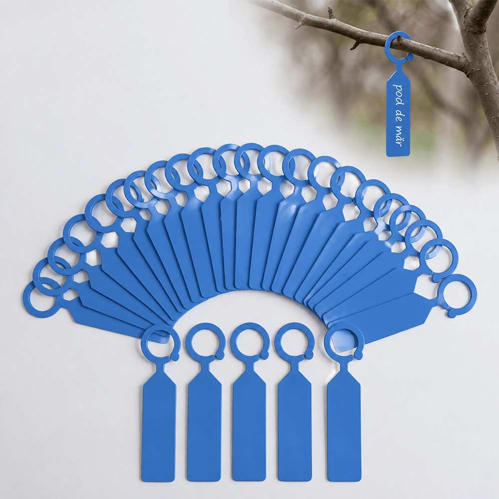 788baafb-5d3b-4d7b-aefd-4f02ca65094e.png
