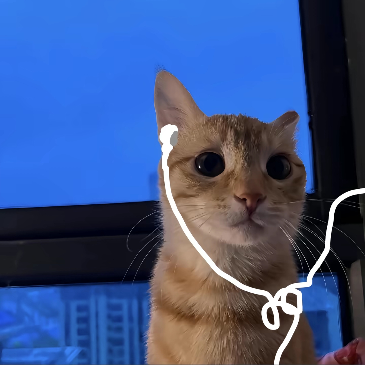 1785495739795.png