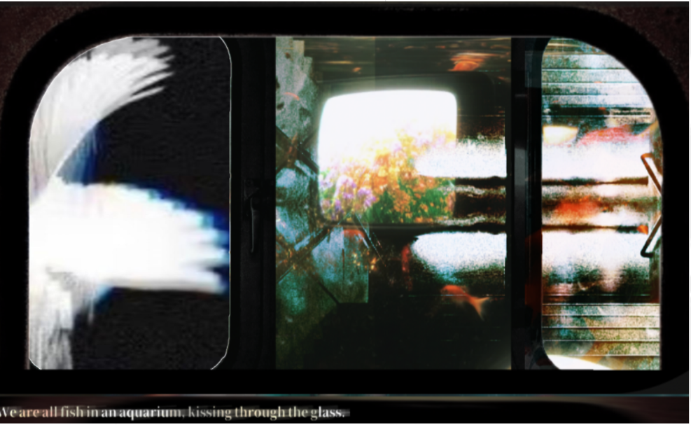 Screenshot_20260731_052610_com.xt.retouch_edit_1877378366240615.png