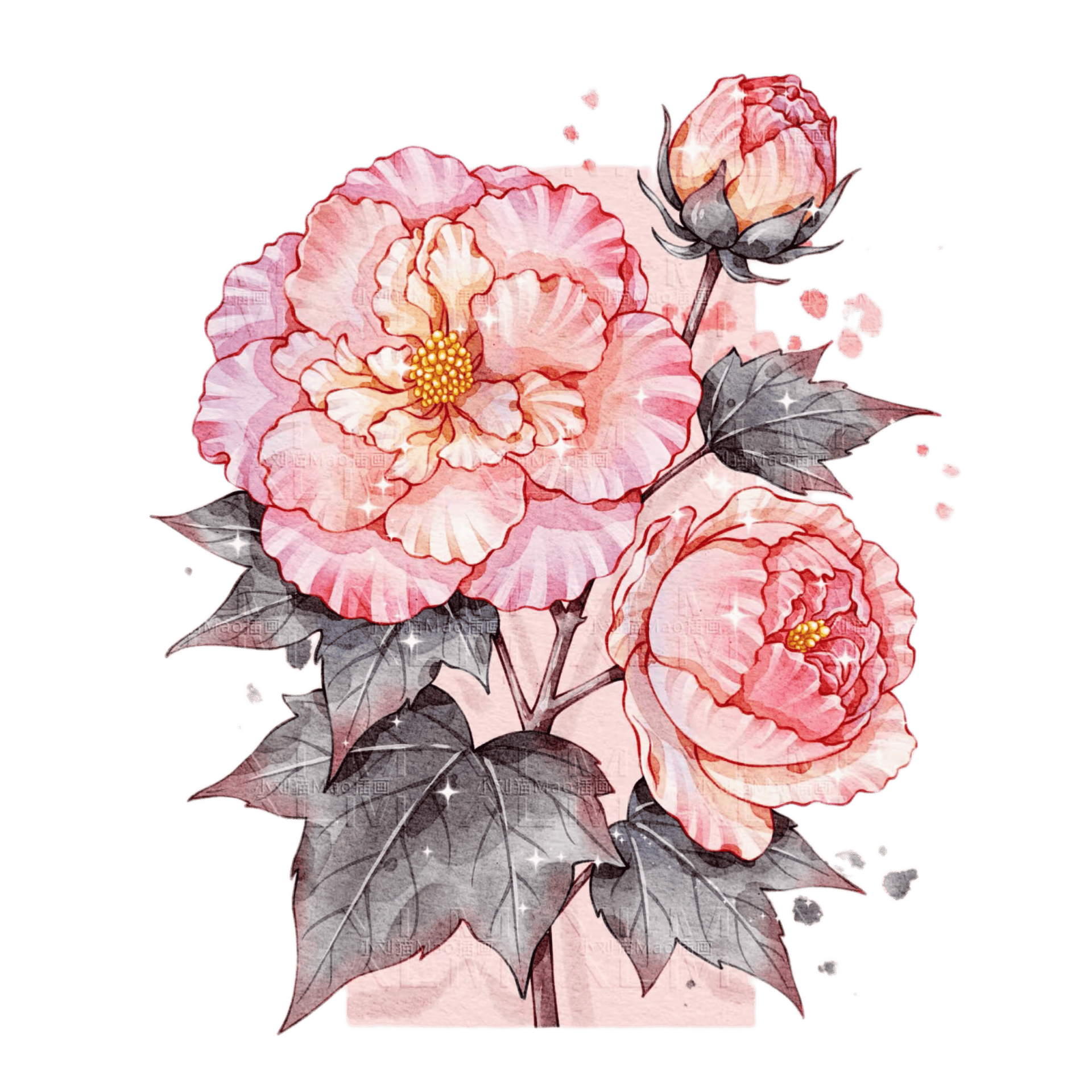 00C58C2A-2932-4922-AADB-AF4957521A4E.png