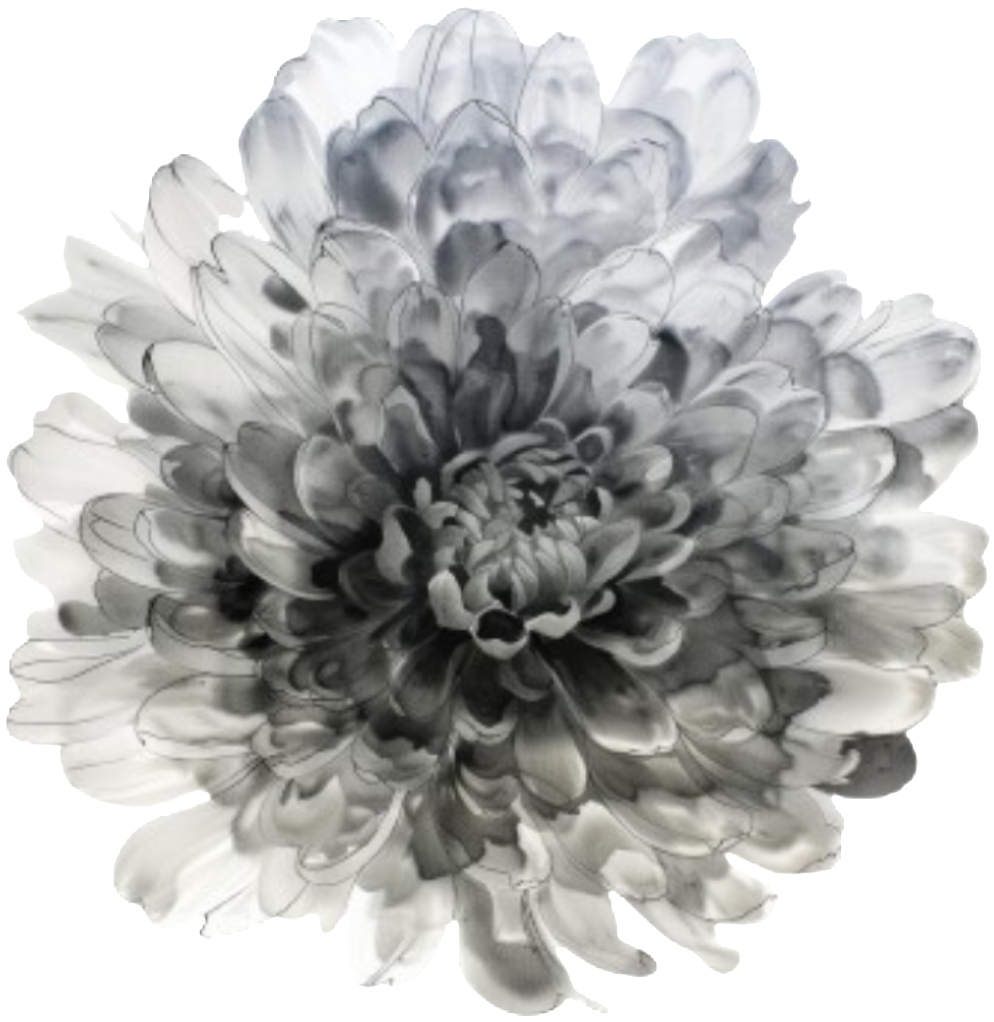 retouch_2026073119391341.png