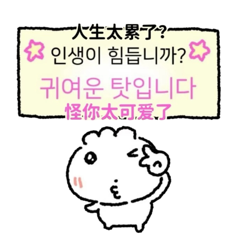 IMG_9448.png