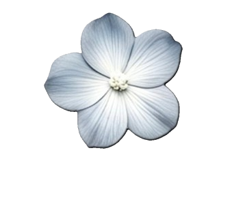 1000160763.png