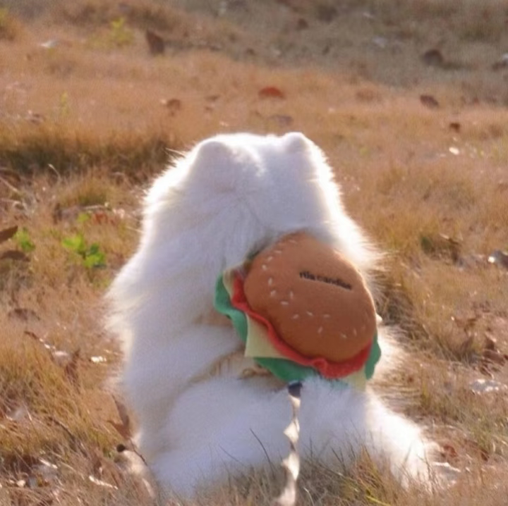 1000036558.png