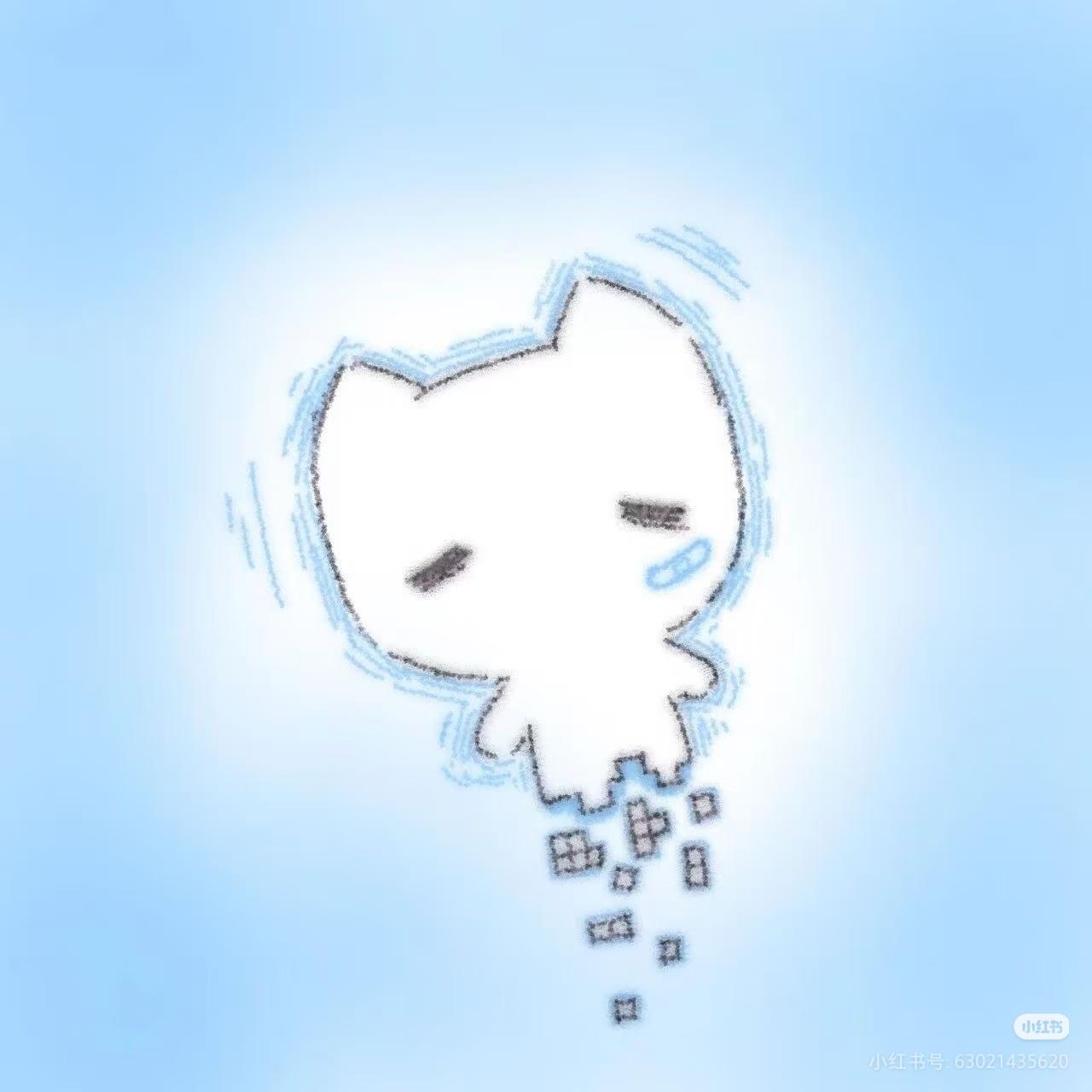 1000048516.jpg