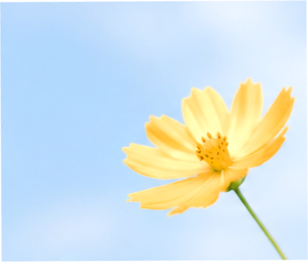 04.png