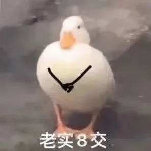 1000030968.gif