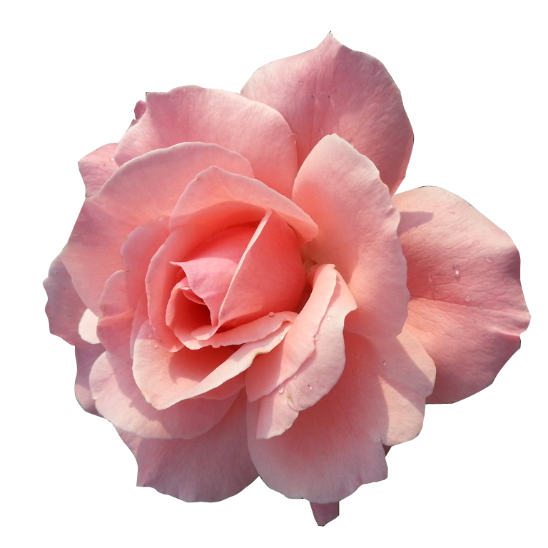 2457f06f5dcde4c2.png