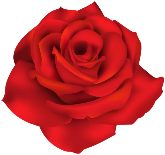 u=3444201810,2273521317&fm=253&fmt=auto&app=138&f=PNG.webp