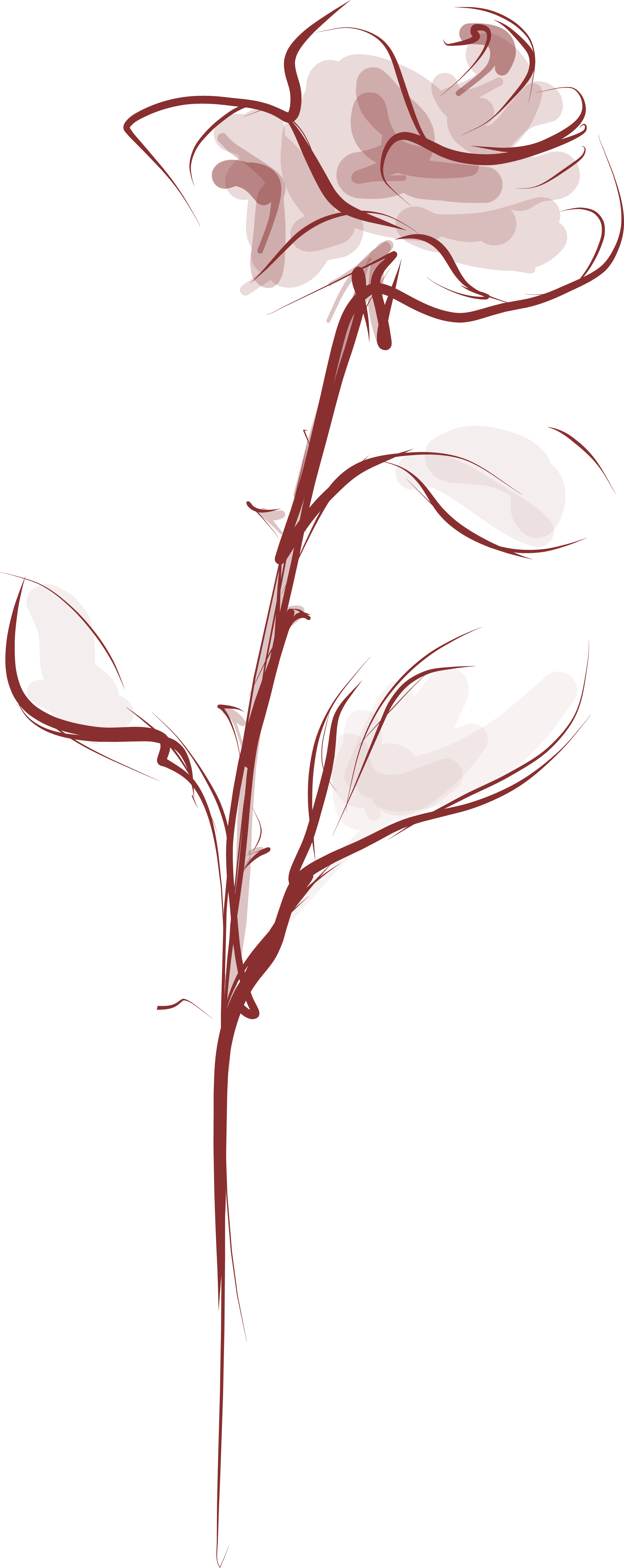 1000159064.png